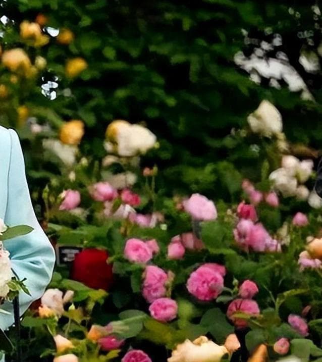 19世纪英国社交礼仪中，赠送鲜花赋予都会赋予哪些社交隐含含义？