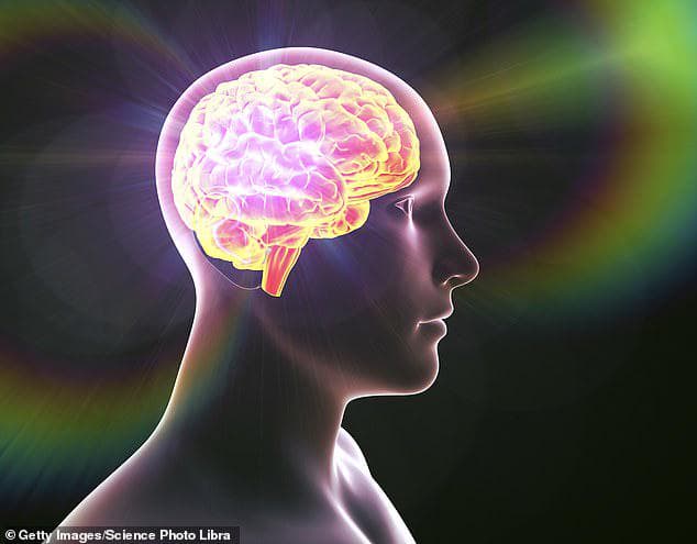 科学家惊爆：人类意识竟源于另一维度