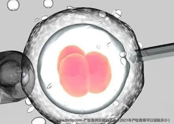 产检费用能报销多少（2025年产检费用可以报销多少）