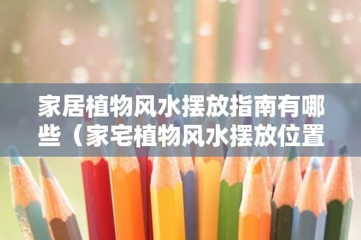 家居植物风水摆放指南：不同位置的植物选择与摆放技巧