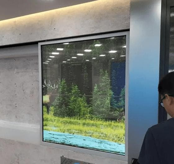 职业发展与学习：趋势、重要性与实现路径