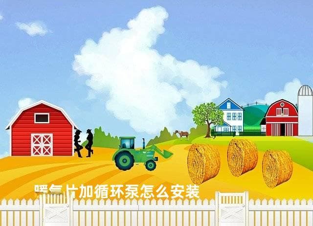 暖气片加循环泵怎么安装