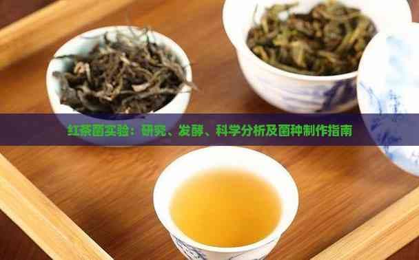 红茶菌：从传统饮品到科学改良的健康新选择
