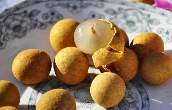 桂圆肉不仅好吃，就连“桂圆皮”也有妙用？你可能有所不知