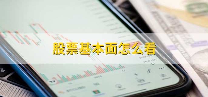 股票基本面分析入门：从股权结构到业绩表现