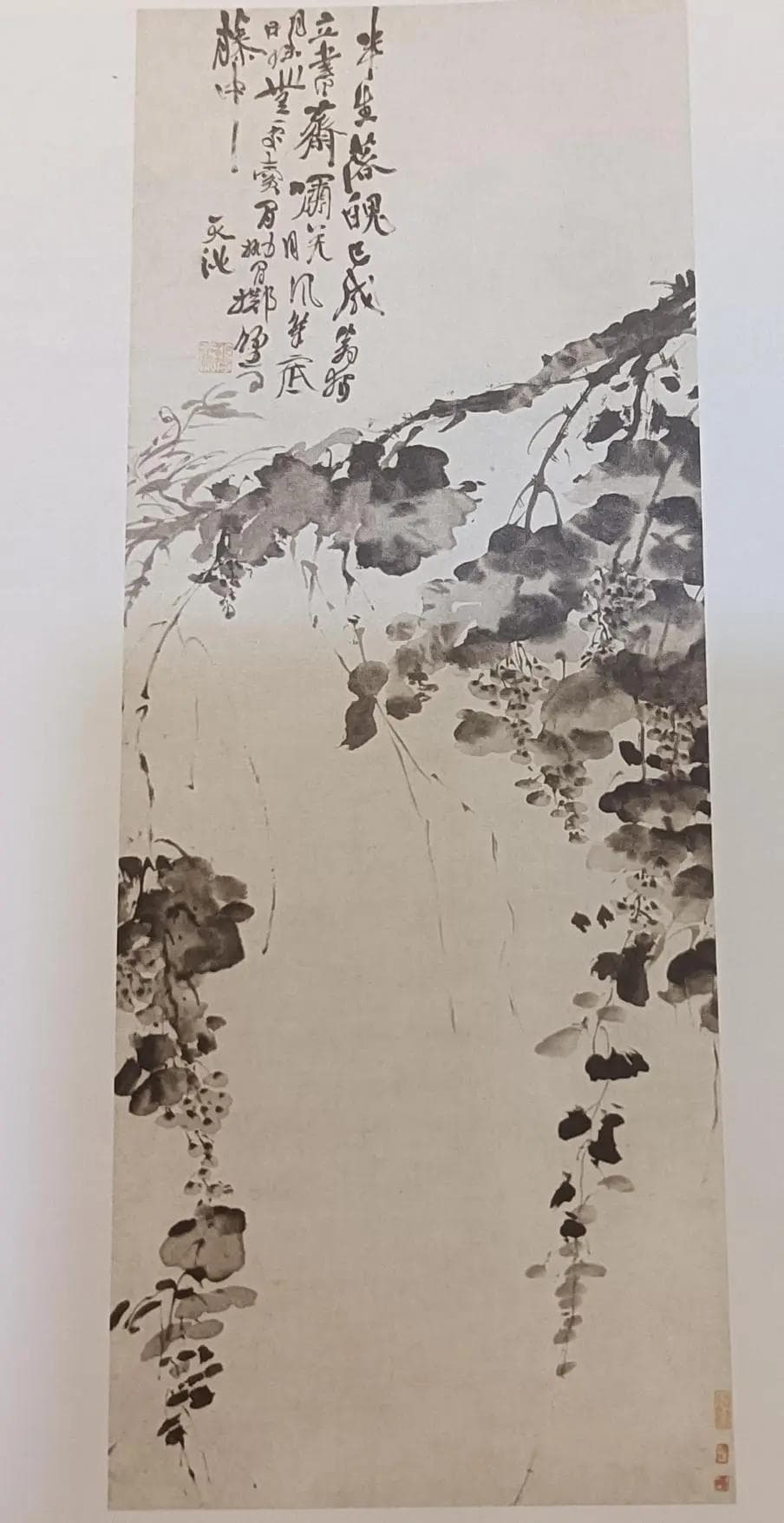 品味徐渭的《墨葡萄图》