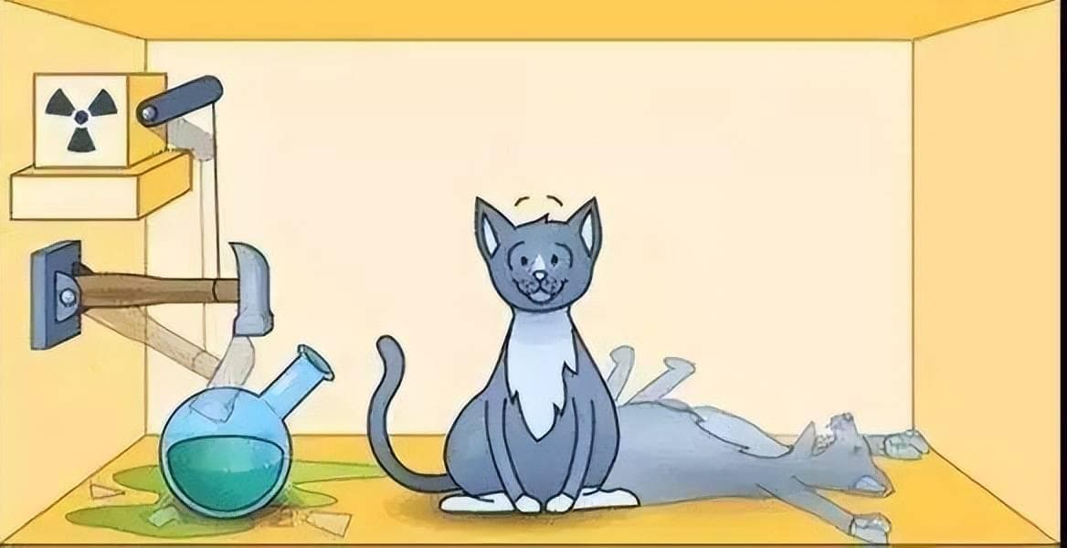 解读思想实验“薛定谔的猫”，“既死又活”的猫到底想表达什么？
