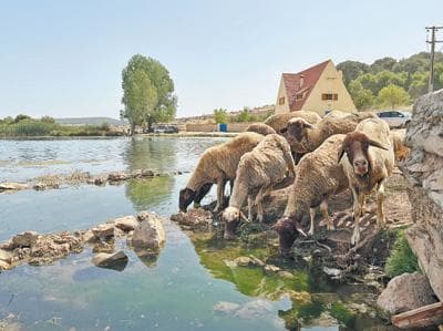 巴西、泰国、摩洛哥采取措施加强湿地保护——“守护好湿地这个共同的家园”