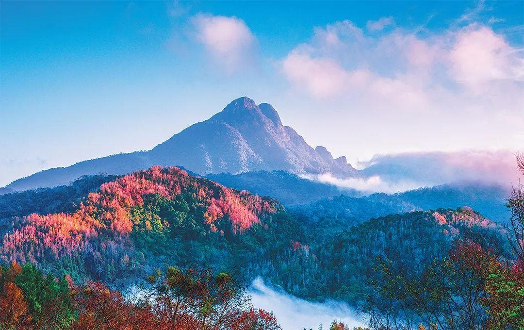 来五指山，一起追“枫”！