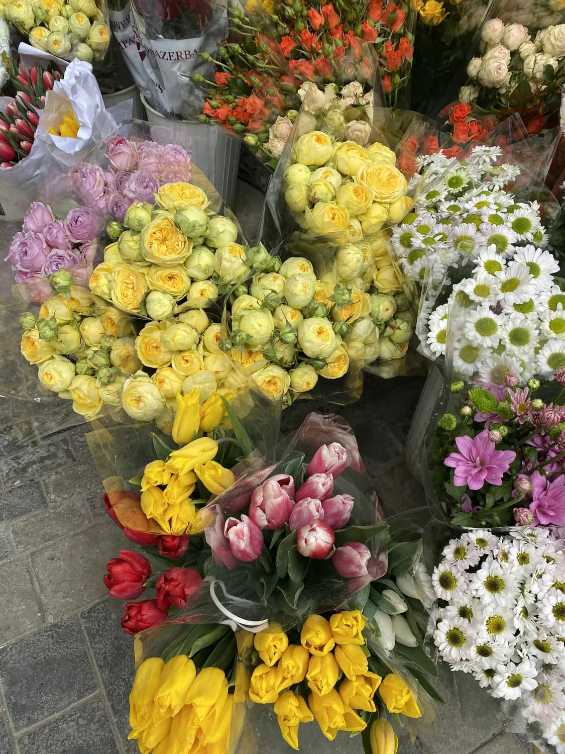2025越秀西湖花市：百年花市展新颜