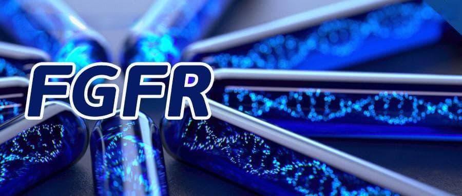 FGFR 基因变异与用药那些事儿