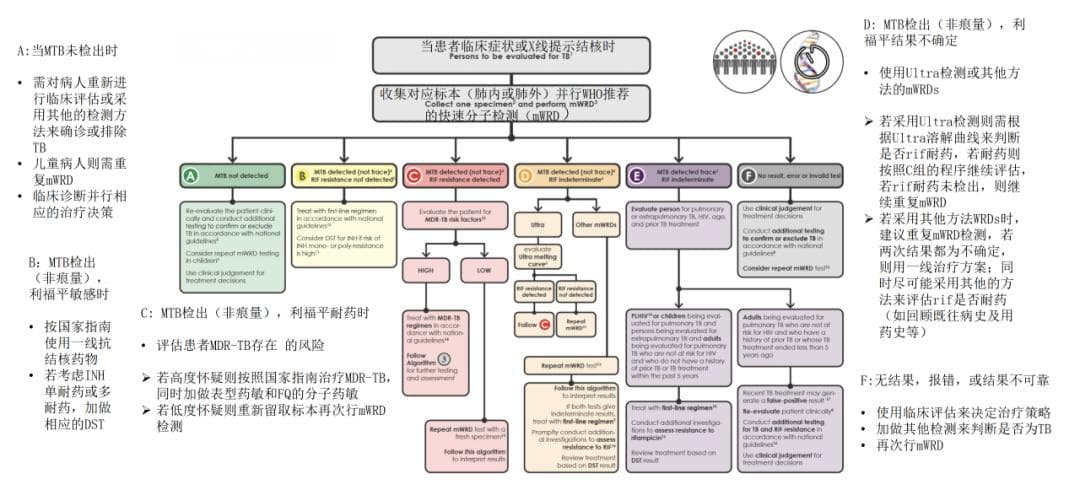 从战略到行动，结核病该如何防治？
