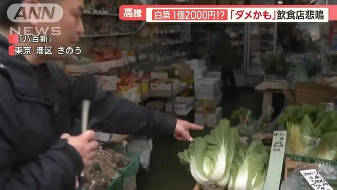 白菜价都涨了！日元持续贬值，哪些物价也水涨船高了