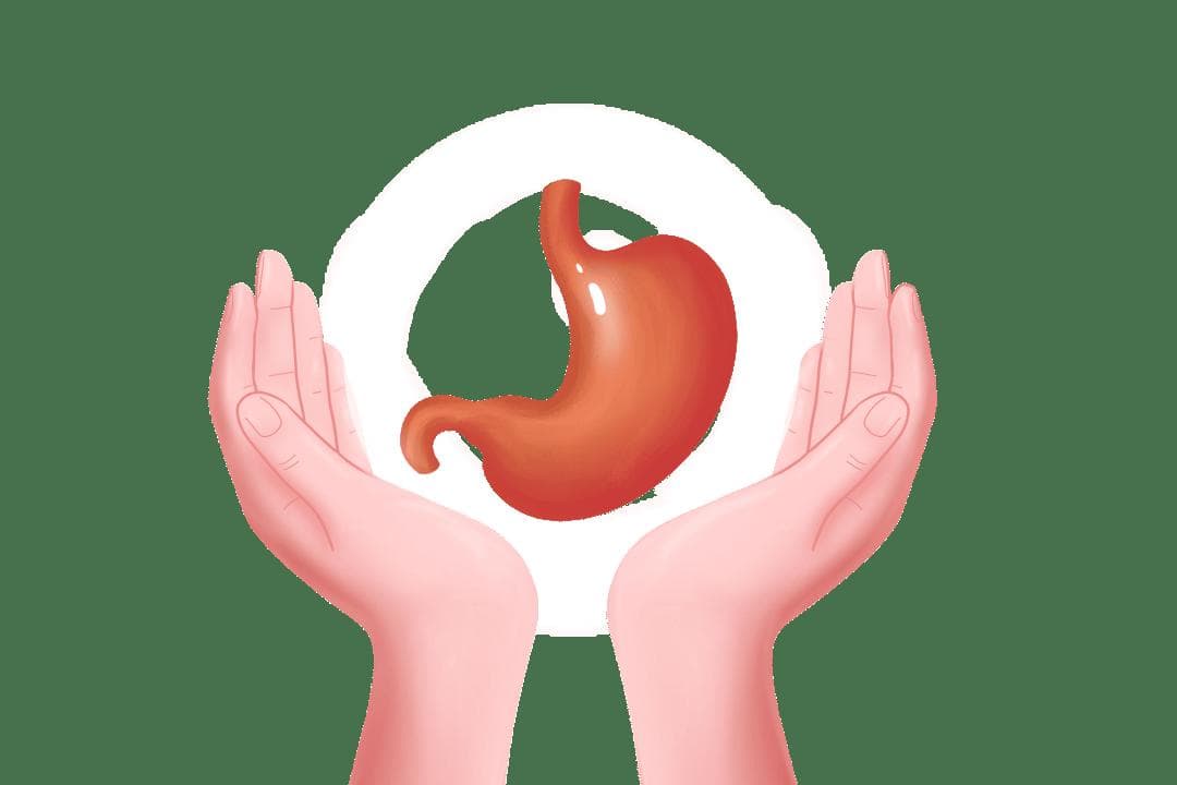 养胃先养胃气：中医专家详解一贴二食三穴调理法