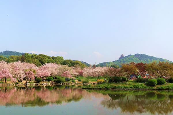 武汉东湖骑行攻略（轻松路线+专业路线）