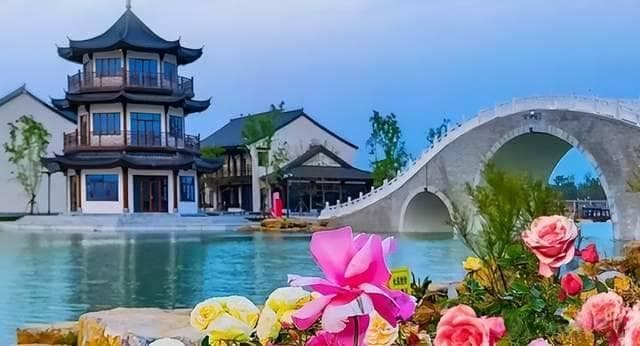 南阳世界月季大观园：探索发展新路径，共赴繁花新未来