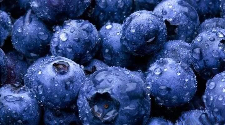 花青素的结构、合成和功能