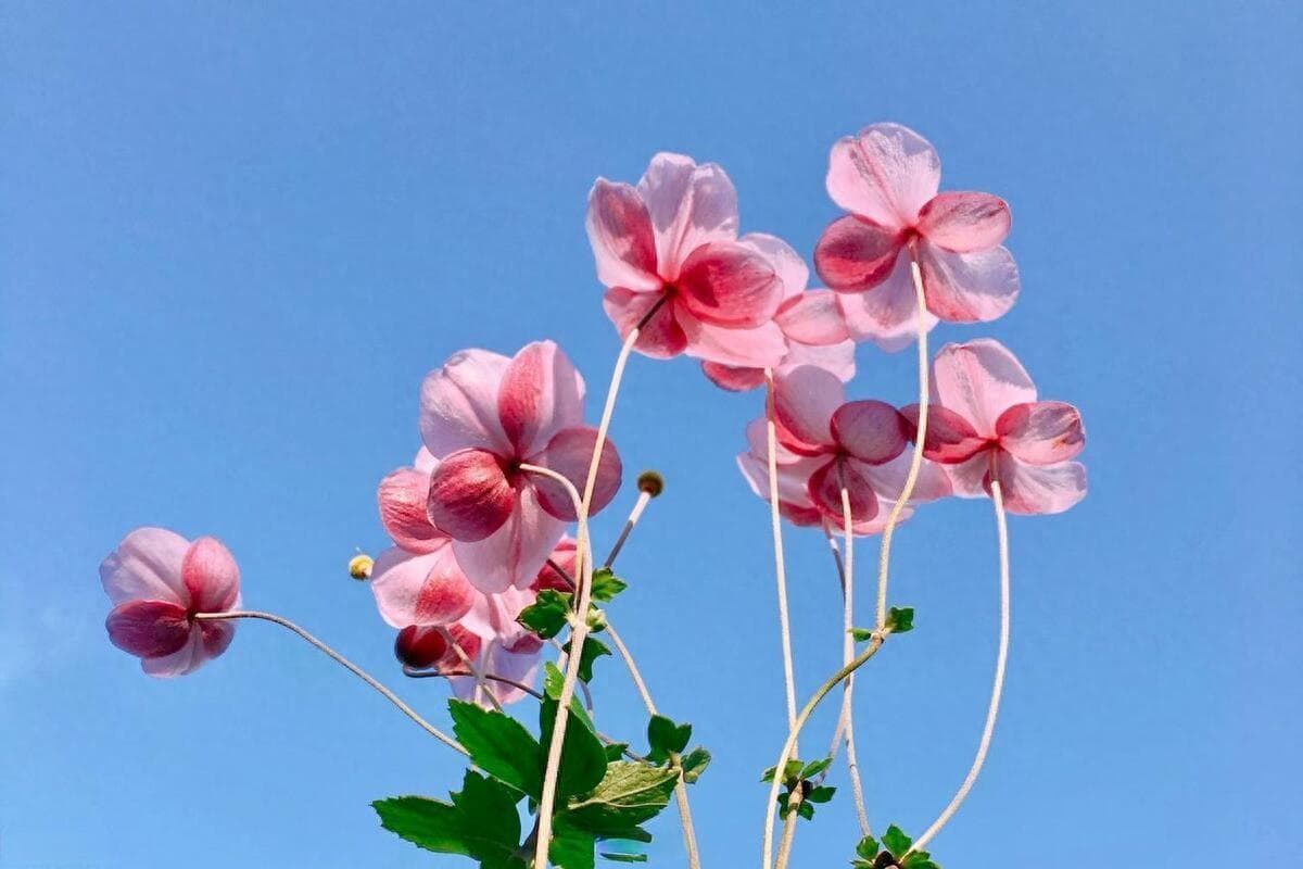 嫉妒有多可怕，一旦嫉妒你，就会对你展示所有无底线的恶
