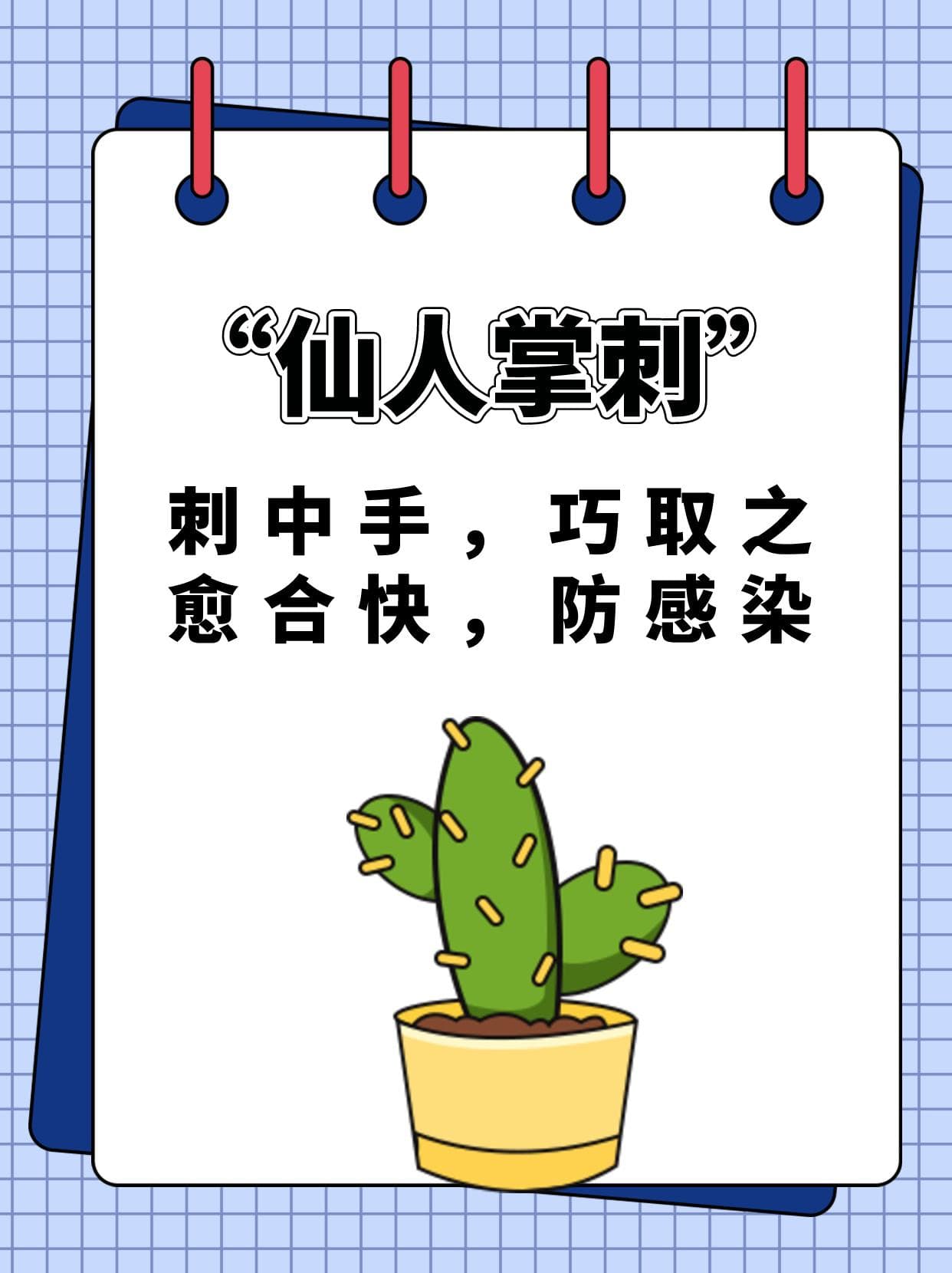 “仙人掌刺”：刺中手，巧取之，愈合快，防感染