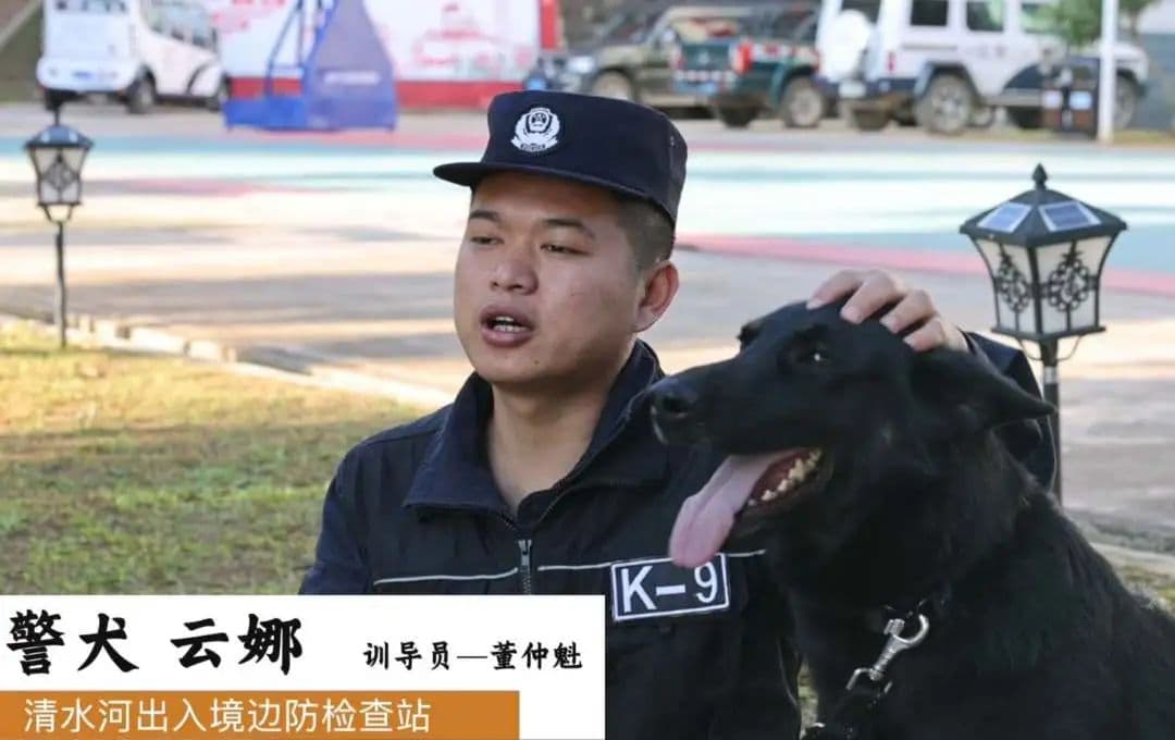 身怀绝技智勇双全，带你探秘缉毒犬的养成！