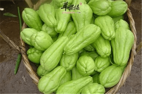 佛手瓜的最佳吃法与禁忌