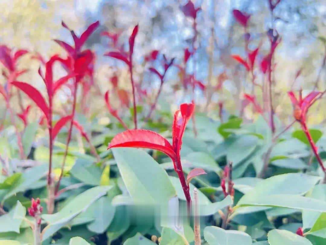 子女将来有没有出息，通过吃饭就能看得出，这4个毛病，得改