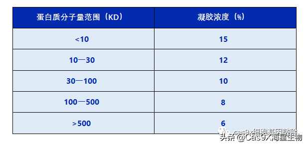 Western Blot实验操作必备技能