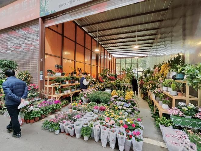“三八”节鲜花走俏，花店销售额翻两三倍！专家：鲜花经济正在复苏