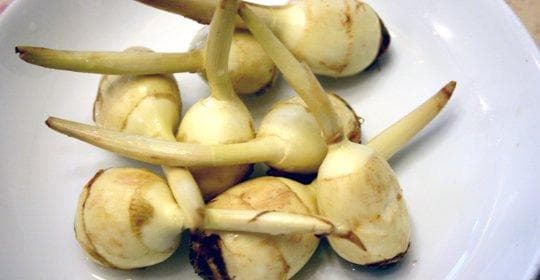 茨菇：营养价值、功效、禁忌、食用方式