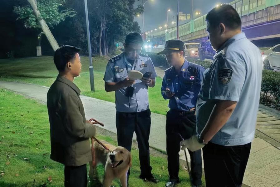 浙江两地上榜！创新宠物监管“一件事”，构建犬类全生命周期管理