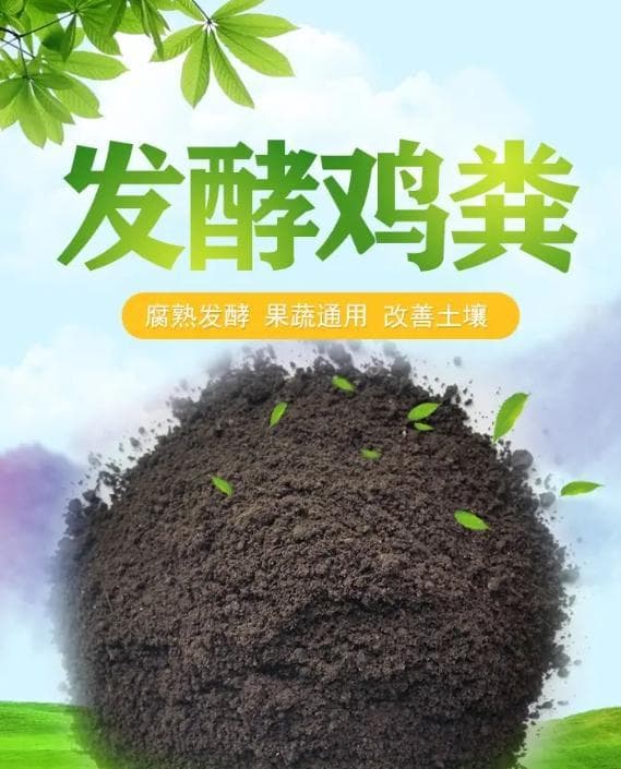 鸡粪有机肥：农业可持续发展的绿色宝藏