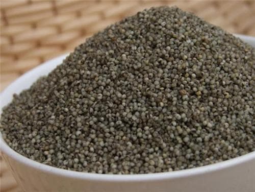 黑小米和黄小米的区别：营养价值与食用注意事项
