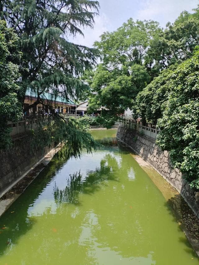 如何识别和应对日常生活中的心态挫败感？