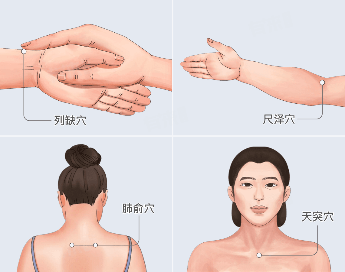 中医止咳穴位全解析：列缺、尺泽、肺俞、天突的功效与应用
