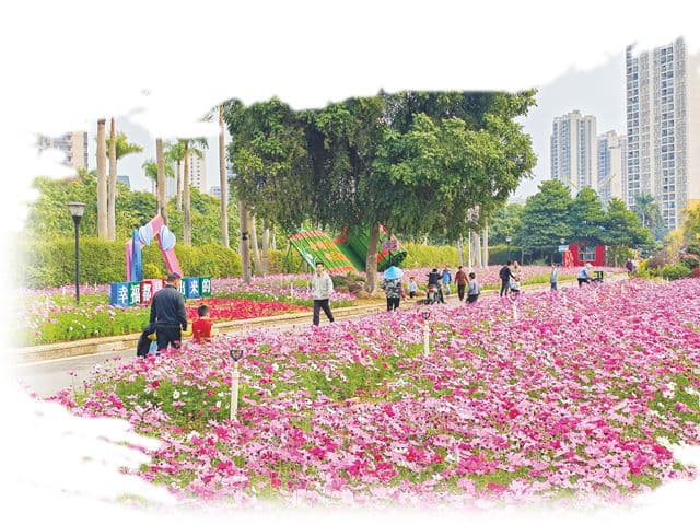 南宁八大赏花路线全攻略：48处花海等你来打卡