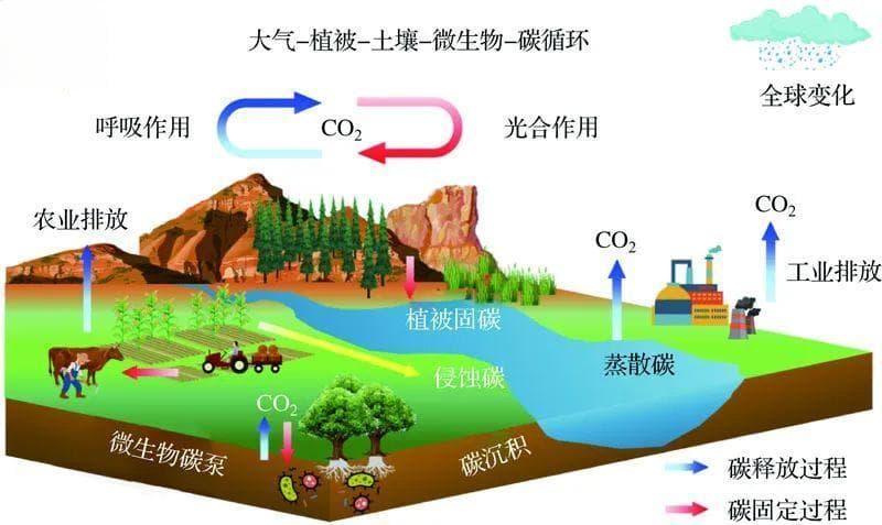 黄土高原植被恢复与碳储量功能研究展望