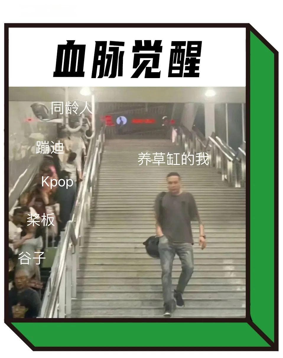 养鱼上瘾的年轻人，你惹不起