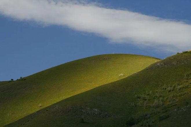 脑科学揭秘：正念如何重塑神经动态，打破自动反应？