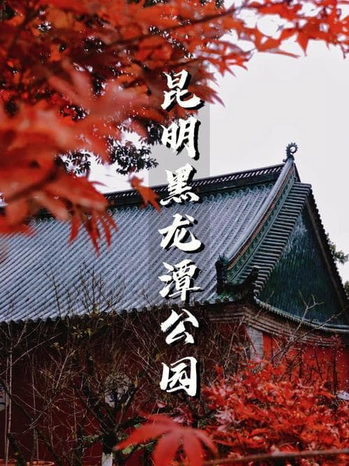 昆明周边旅游攻略：景点、交通、住宿全攻略