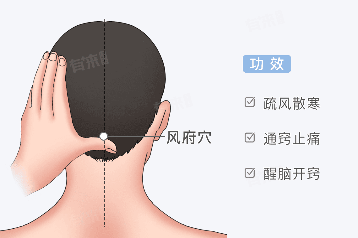 风府穴的准确位置和功效作用