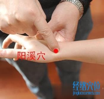 阳溪穴位位置图及按摩方法详解