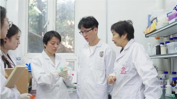 复旦大学团队揭示跨脑半球神经连接介导负性情绪形成机制