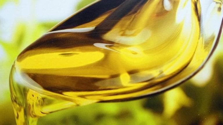 山茶籽油的功效与作用、禁忌和食用方法