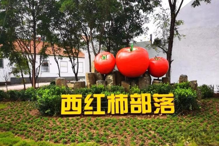 潍坊昌乐：“三个一体化”探索富民强村新路径