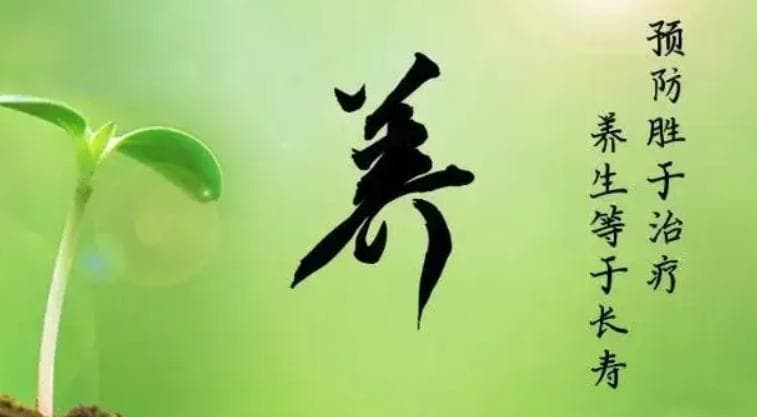 春生万物长 养肝正当时——中医视角下的春季养生之道