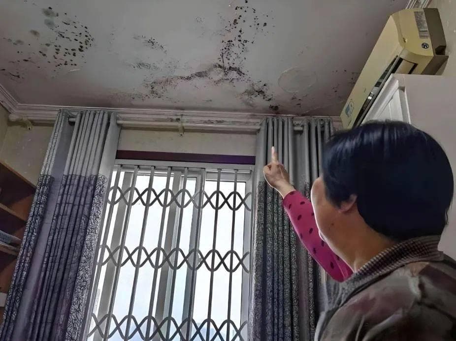 顶楼天花板漏水，谁负责维修？