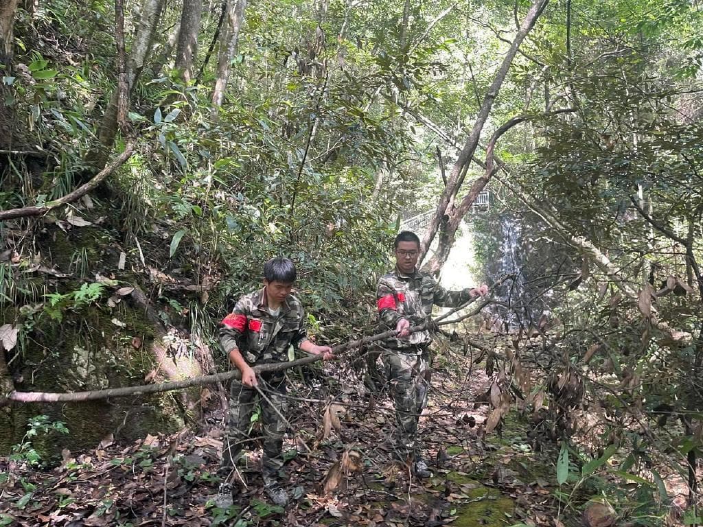 自然保护区护林员：不惧艰辛 一心守林护绿