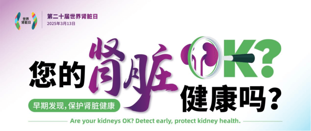 沉默的"杀手"——肾脏健康全攻略
