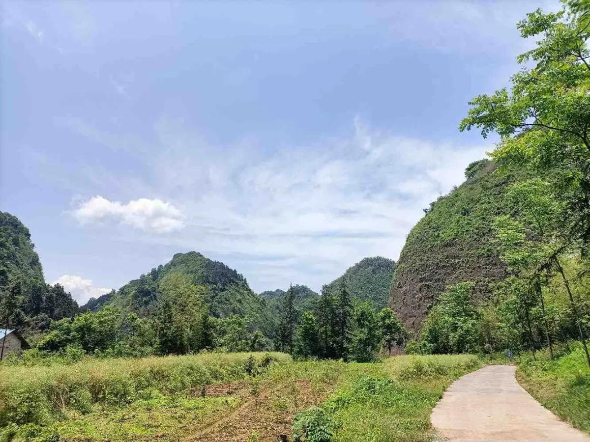 非暴力沟通：如何区分观察与评论