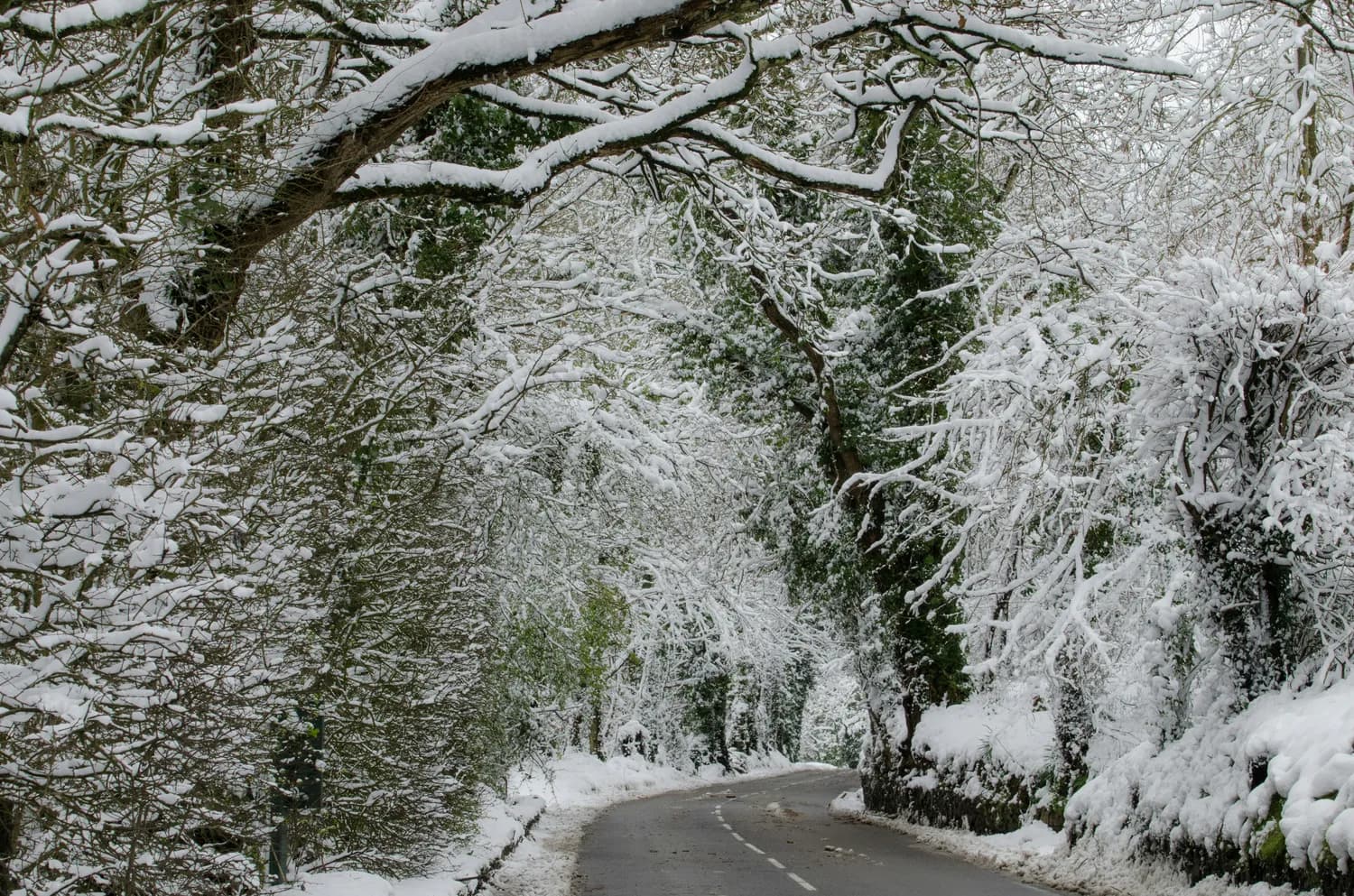 冬日徽州天路自驾游：雪景美食全攻略